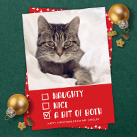 Naughty OU Nice ou les deux amusant animal de comp