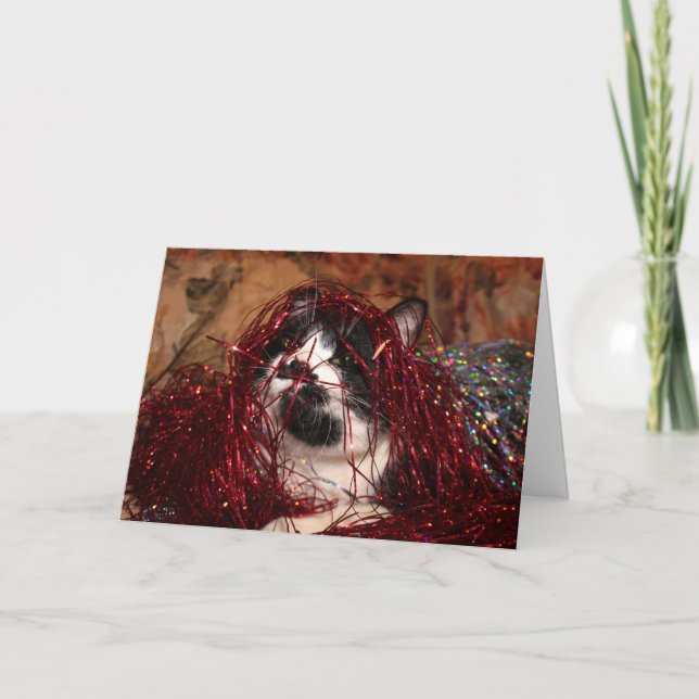 Cartes Pour Fêtes Annuelles Naughty tuxedo Noël (Devant)