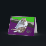 Cartes Pour Fêtes Annuelles N'ayez pas un chat-je-tude sur votre<br><div class="desc">Avancez et célébrez votre anniversaire avec un certain chat-JE-TUDe.  Vous le méritez.  Vous êtes le meow du chat.</div>