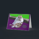 Cartes Pour Fêtes Annuelles N'ayez pas un chat-je-tude sur votre<br><div class="desc">Avancez et célébrez votre anniversaire avec un certain chat-JE-TUDe.  Vous le méritez.  Vous êtes le meow du chat.</div>