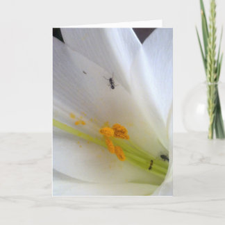 Cartes Pour Fêtes Annuelles Ne laissez pas les petites choses vous arriver...