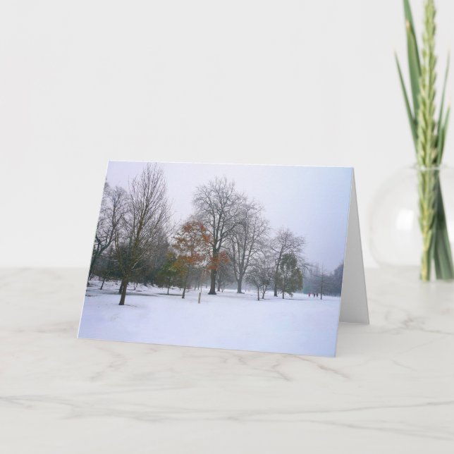 Cartes Pour Fêtes Annuelles Neige dans le parc, Parc Bute, Cardiff, Pays de Ga (Devant)