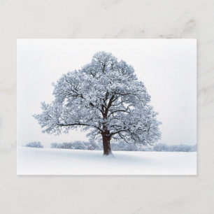 Cartes Pour Fêtes Annuelles Neige d'hiver / Arbre de Noël