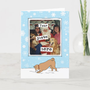 Cartes Pour Fêtes Annuelles Neige hivernale de mignonne Shiba Inu Votre phot