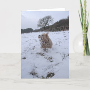 Cartes Pour Fêtes Annuelles Neige Westie