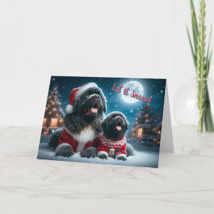 Cartes Pour Fêtes Annuelles Newf and Puppy Let it Snow Christmas Card