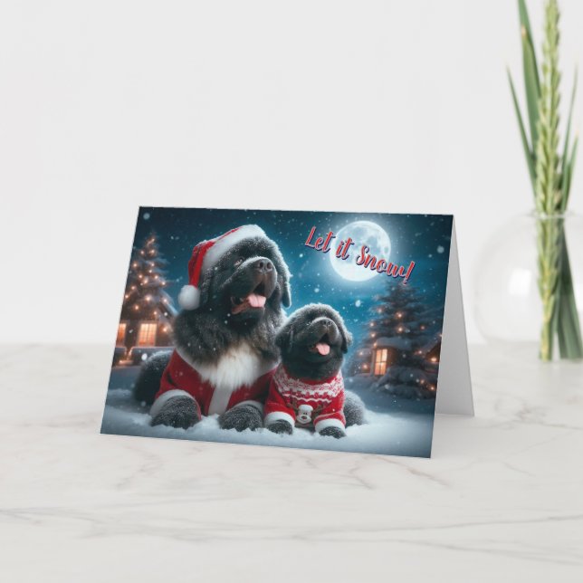 Cartes Pour Fêtes Annuelles Newf and Puppy Let it Snow Christmas Card (Devant)