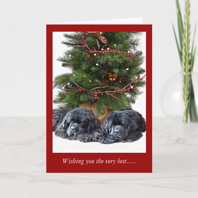 Cartes Pour Fêtes Annuelles Newfies et le chat de Noël (Devant)