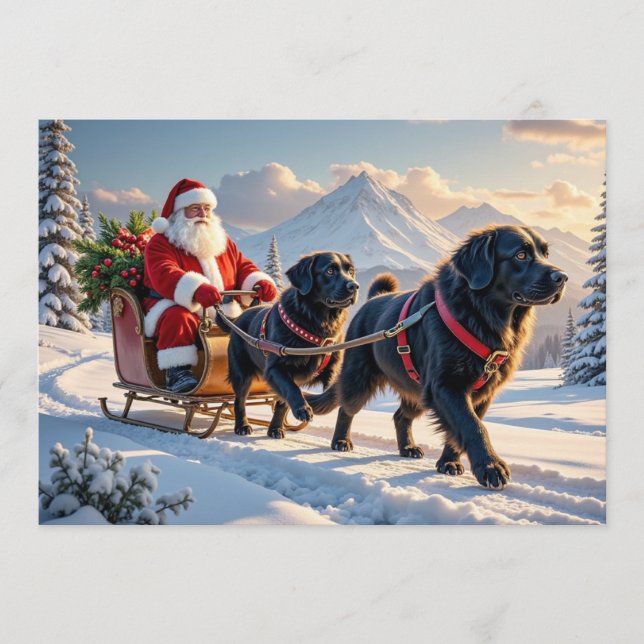 Cartes Pour Fêtes Annuelles Newfoundlander Christmas Card (Devant)