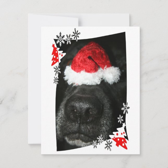 Cartes Pour Fêtes Annuelles Nez de chien de laboratoire noir avec chapeau sant (Devant)