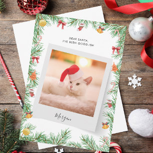 Cartes Pour Fêtes Annuelles Nice Liste Funny Pet Cat Photo Custom Christmas
