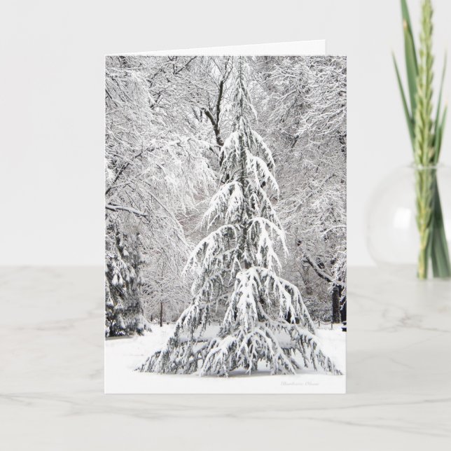 Cartes Pour Fêtes Annuelles *No Snowflake Falls In the Wrong Place. (Devant)