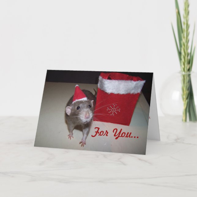 Cartes Pour Fêtes Annuelles Noah Christmas Card 2 (Devant)