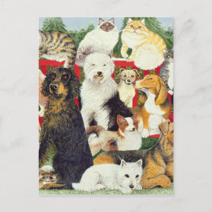 Cartes Pour Fêtes Annuelles Noël