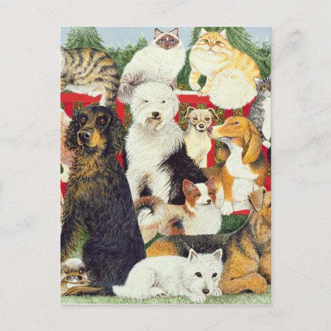 Cartes Pour Fêtes Annuelles Noël (Devant)