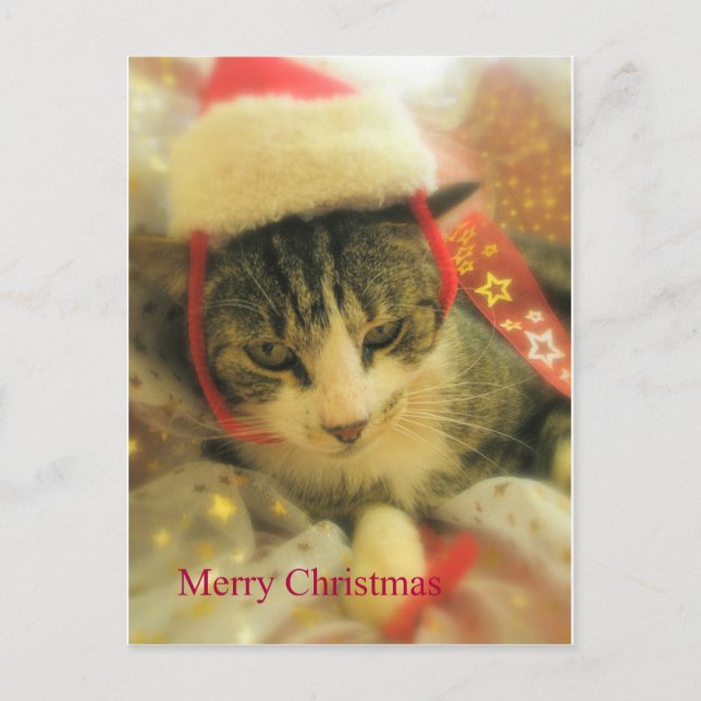 Cartes Pour Fêtes Annuelles Noël (Devant)