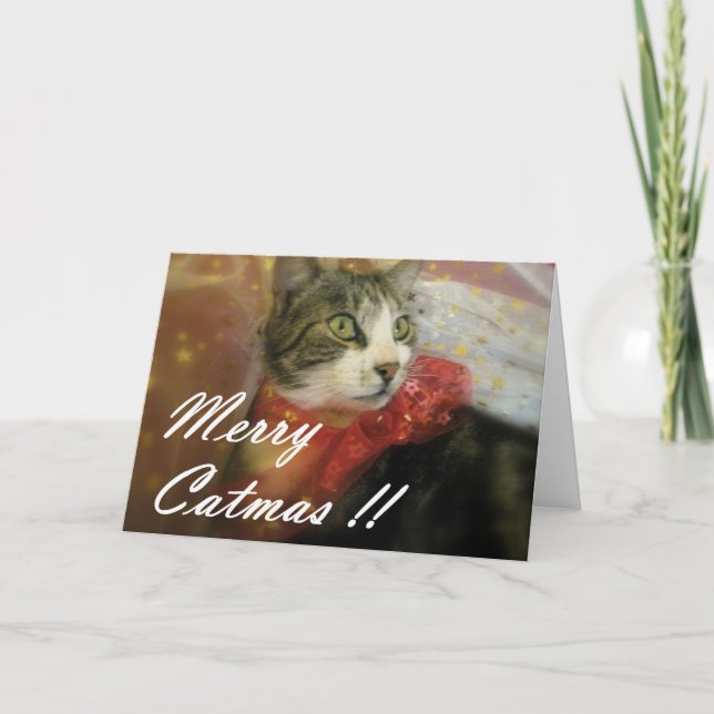 Cartes Pour Fêtes Annuelles Noël (Devant)