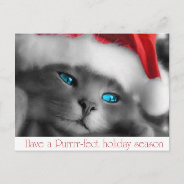 CARTES POUR FÊTES ANNUELLES NOËL (Devant)