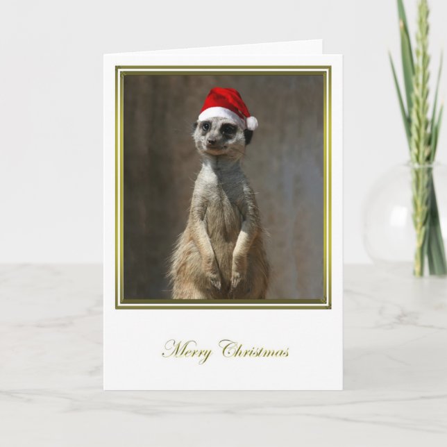 Cartes Pour Fêtes Annuelles Noël 2 de Meerkat (Devant)