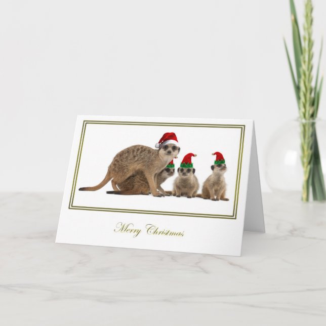Cartes Pour Fêtes Annuelles Noël 3 de Meerkat (Devant)