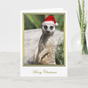 Cartes Pour Fêtes Annuelles Noël 4 de Meerkat