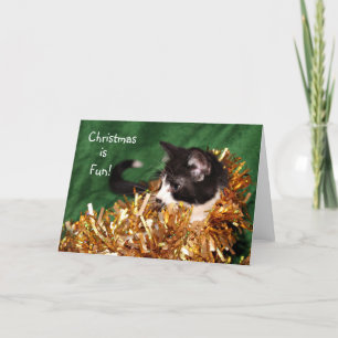 Cartes Pour Fêtes Annuelles Noël à chaton Tuxedo