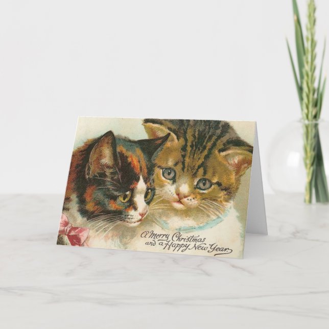 Cartes Pour Fêtes Annuelles Noël à deux Kitties (Devant)