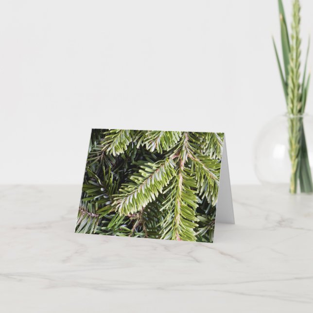 Cartes Pour Fêtes Annuelles Noël À feuillage persistant Pine Tree Arrière - pl (Devant)