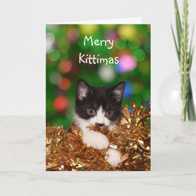 Cartes Pour Fêtes Annuelles Noël à Kitten (Devant)