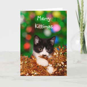 Cartes Pour Fêtes Annuelles Noël à Kitten