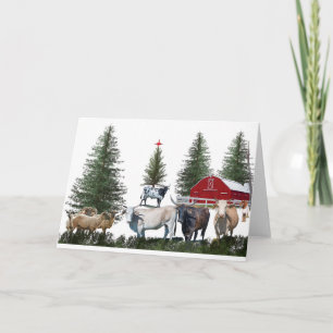 Cartes Pour Fêtes Annuelles Noël à la ferme