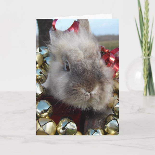 Cartes Pour Fêtes Annuelles Noël à Lionhead Bunny (Devant)