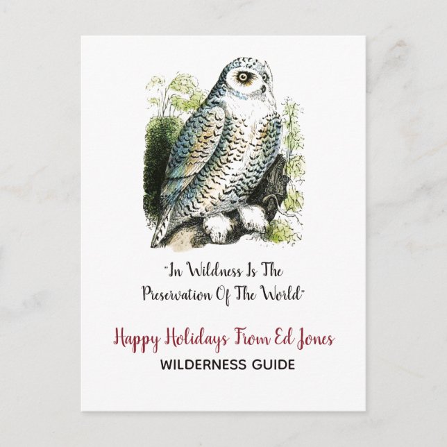 Cartes Pour Fêtes Annuelles Noël à Snowy Owl (Devant)