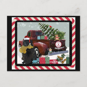 Cartes Pour Fêtes Annuelles Noël à Terre-Neuve