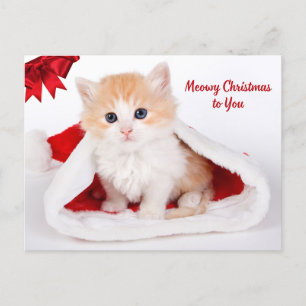 Cartes Pour Fêtes Annuelles Noël à toi mignon Chat à Santa Hat