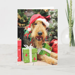 Cartes Pour Fêtes Annuelles Noël - Airedale - Kiehn