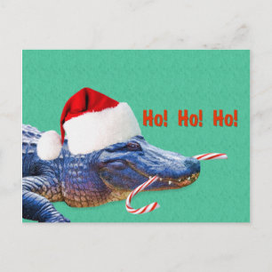 Cartes Pour Fêtes Annuelles Noël, Alligator avec Santa Hat