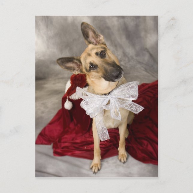 Cartes Pour Fêtes Annuelles Noël alsacien (Devant)