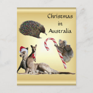 Cartes Pour Fêtes Annuelles Noël animal australien personnalisable