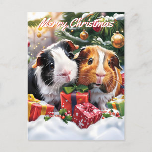 Cartes Pour Fêtes Annuelles Noël aux cochons de Guinée