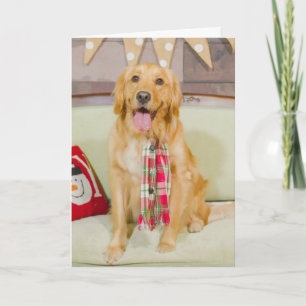 Cartes Pour Fêtes Annuelles Noël avec Lily Chanel