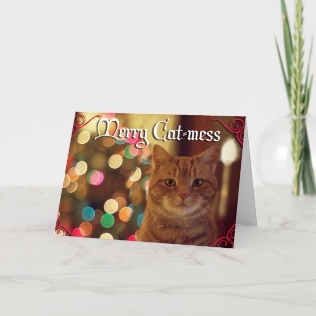 Cartes Pour Fêtes Annuelles Noël avec nos animaux de compagnie Merry Cat mess (Devant)