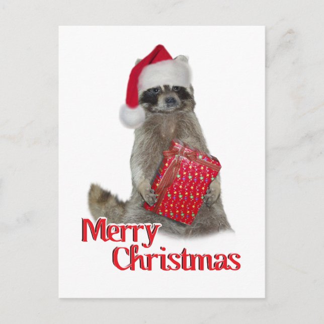 Cartes Pour Fêtes Annuelles Noël Bandit Raccoon avec présent (Devant)