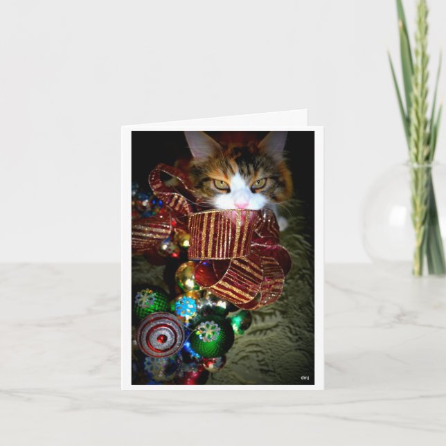 Cartes Pour Fêtes Annuelles Noël bariolé (Devant)