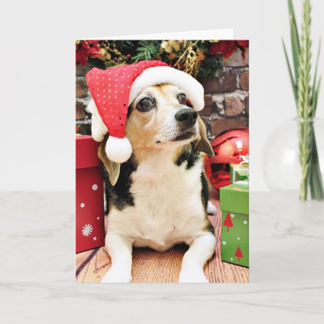 Cartes Pour Fêtes Annuelles Noël - beagle - Bailey (Devant)