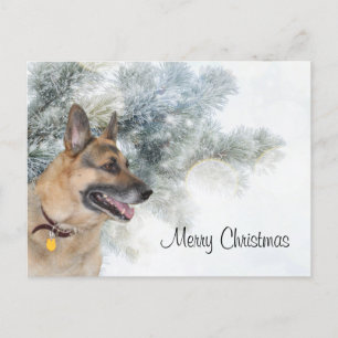 Cartes Pour Fêtes Annuelles Noël berger allemand