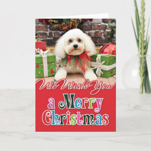 Cartes Pour Fêtes Annuelles Noël - Bichon Frise - Harry