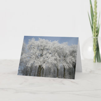 Cartes Pour Fêtes Annuelles Noël blanc