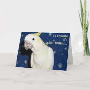 Cartes Pour Fêtes Annuelles Noël blanc