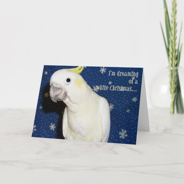 Cartes Pour Fêtes Annuelles Noël blanc (Devant)